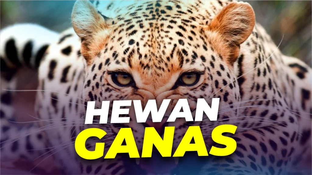 hewan-ganas