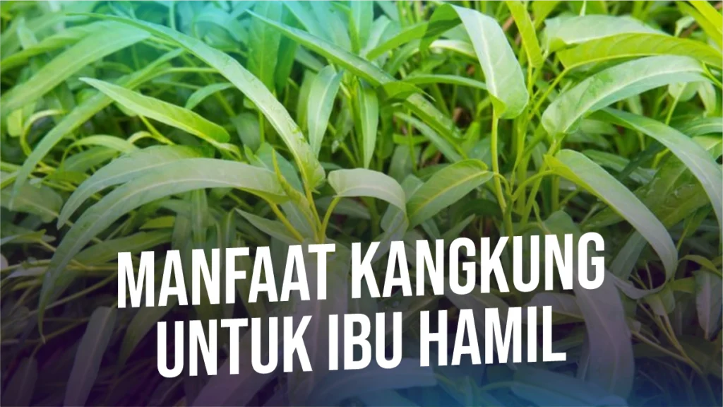 manfaat-sayur-kangkung-untuk-ibu-hamil